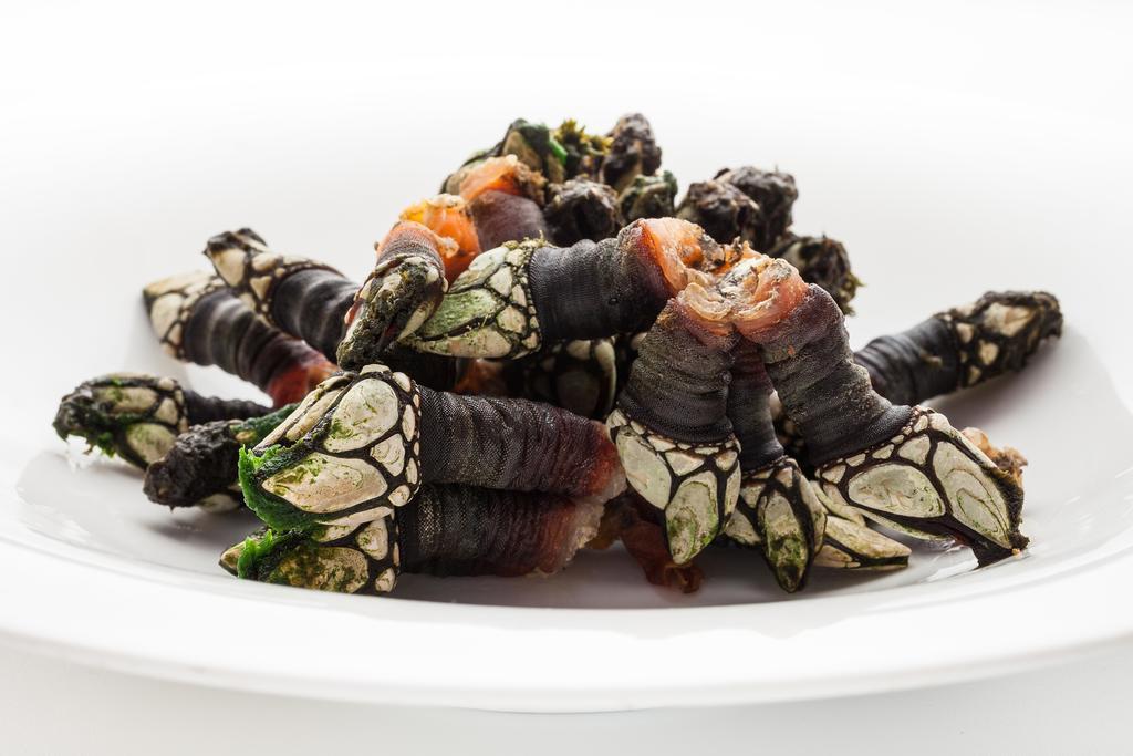 Hotel Restaurante Cabo Vidio Oviñana Екстериор снимка